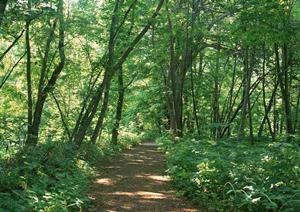 東京都内で安心して受診できる児童精神科の選び方と最新の治療法