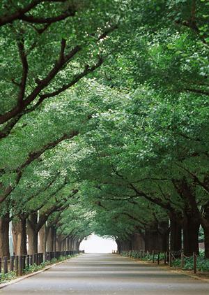 さいたま市の精神科なら大宮こころの診療所